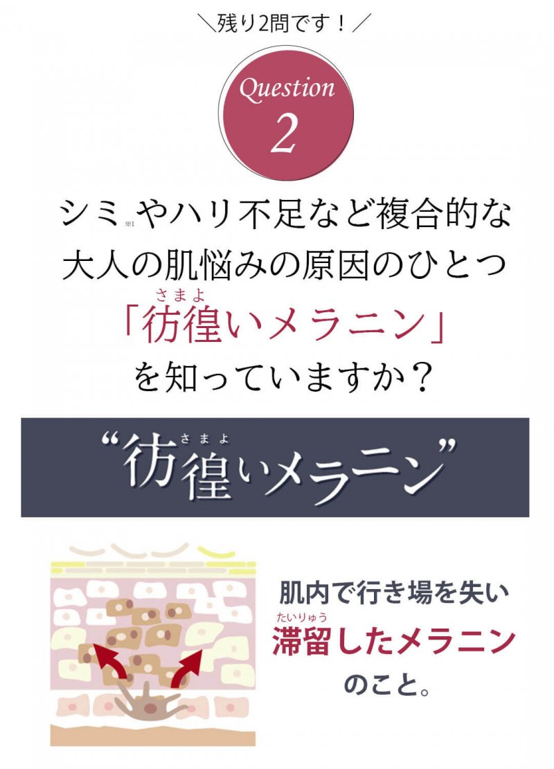 ドレススノー 質問2