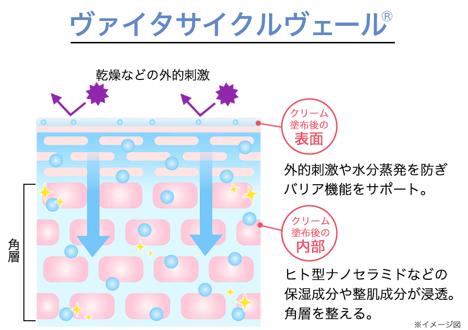 ディセンシアO/L