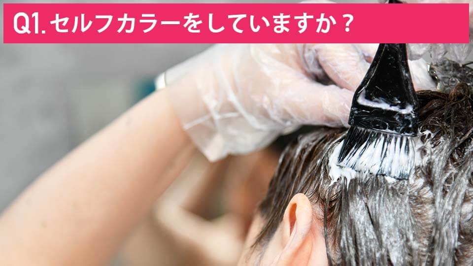 カラリス　質問１