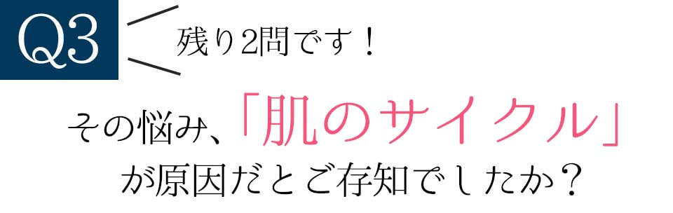 deep2031川野アンケート