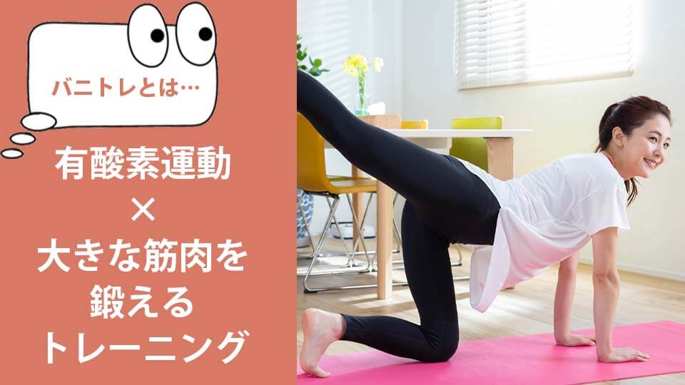 スリムレギンス バニトレとは