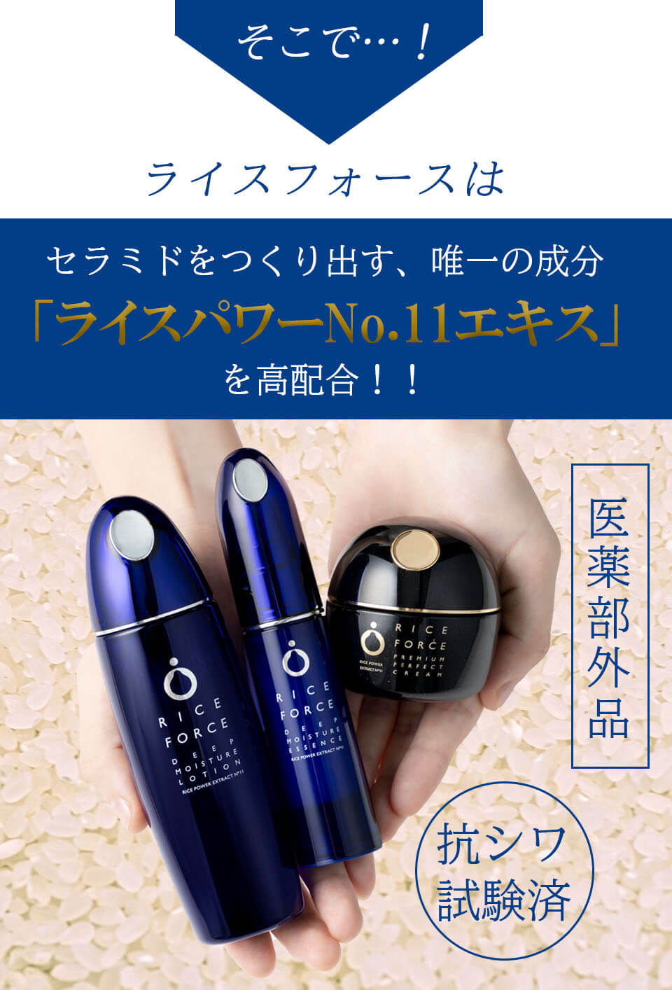 ライスフォース そこでライスパワー