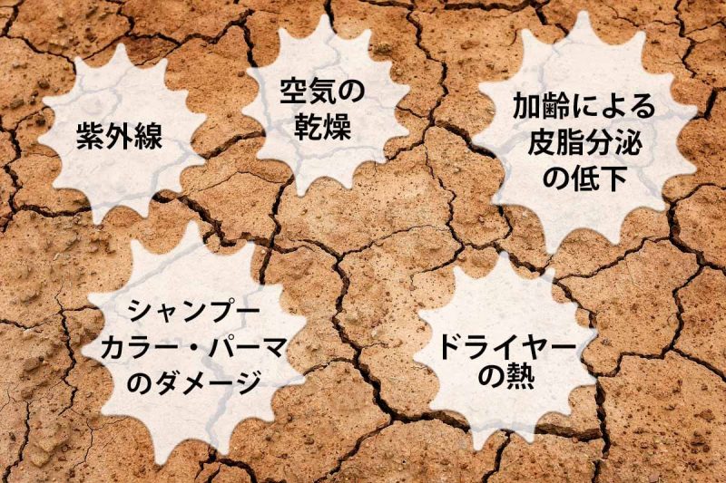 リリィジュ 頭皮が乾燥する原因