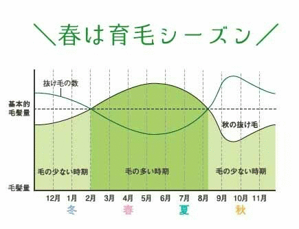 リリィジュ 春は育毛シーズン